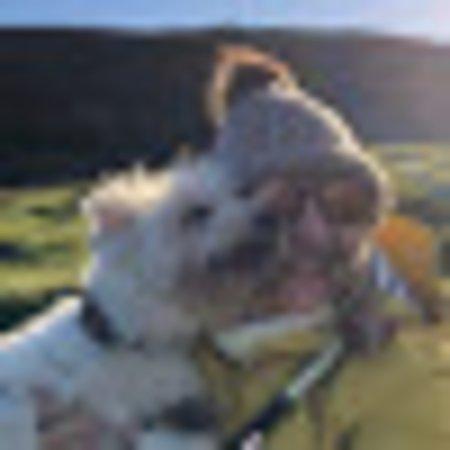 photo of Z4817ZOlisap