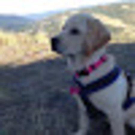 Photo of libby1234567890