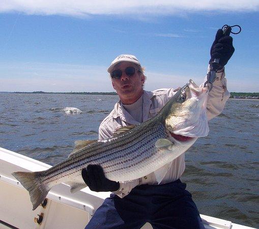 On The Bite Fishing Charters NYC