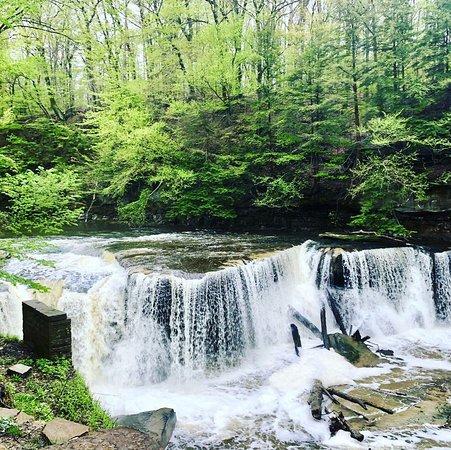 Tinkers Creek Viaduct Park