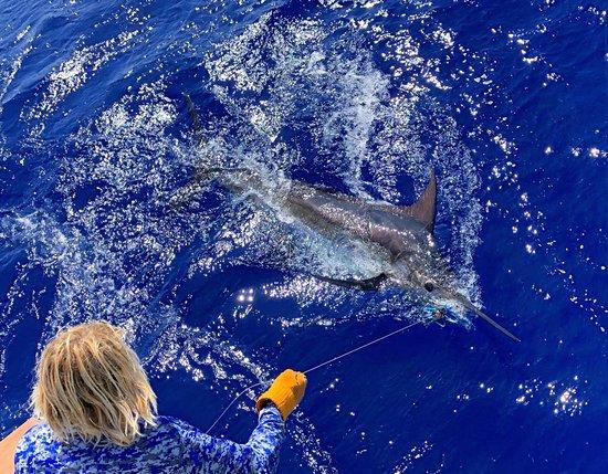 Nemesis Sport Fishing