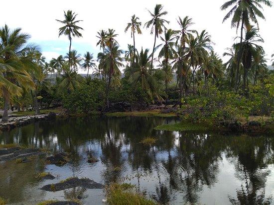 A Place of Refuge B&B