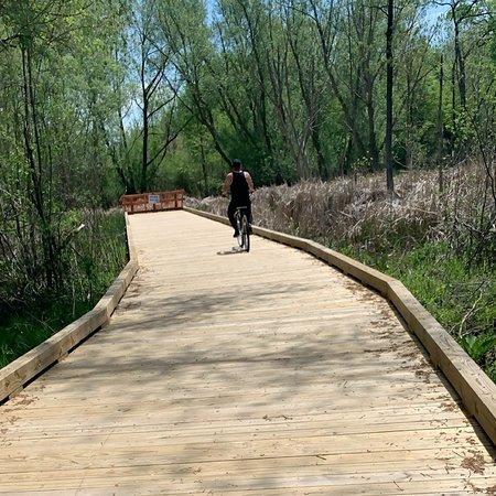 Innovation Hills Park