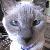 Photo of Patricia M