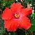 Photo of angg321