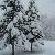 Photo of Nappen