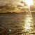Photo of shellaroo42