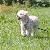 Photo of CO_2006
