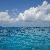 photo of marriedtothewater