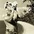 Photo of tripcrixchick