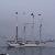 Photo of Sail2Maine