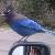 Photo of CanadaOntheroad