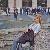 Photo of kaths276