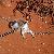 Photo of Jan01234