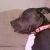 Photo of SherylM1966