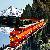 Photo of shallow_shoals