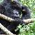 Photo of BrettA840