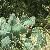 Photo of jenniferwR5849ZK