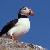 photo of Micheline d