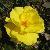 Photo of CPtraveler123