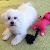 Photo of dottiescott