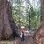Photo of Sherry4334