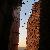 Photo of traveler536