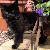 photo of blackcatlois67