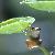 Photo of matthewp213