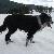 Photo of 4Seamus