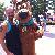 Photo of bearcj