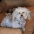 Photo of TexasTravellingMiMi