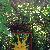 Photo of melmo152
