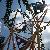 photo of thomassY5770IS