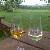Photo of Sunny1707