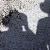 Photo of Kenna W