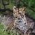 Photo of DianeKim0429