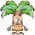Photo of palmtrees13