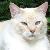 Photo of KathyJoAU