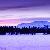 Photo of tazman1099
