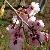 Photo of 167LindaE