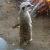 photo of Meerkatravel