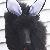 Photo of MysteryPoodle