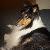 Photo of MarylandTravelnutz