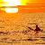 Photo of obxwhit