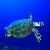 Photo of BuckeyeNick2620