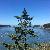 Photo of 806lilianc