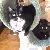 Photo of citicat