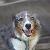 photo of Wolfshadow611