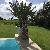 Photo of Gabbysview